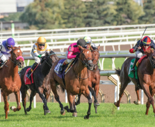 Horse racing